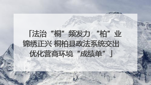 法治“桐”频发力 “柏”业锦绣正兴 桐柏县政法系统交出优化营商环境“成绩单”