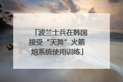 波兰士兵在韩国接受“天舞”火箭炮系统使用训练