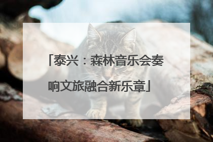 泰兴：森林音乐会奏响文旅融合新乐章