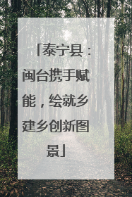 泰宁县：闽台携手赋能，绘就乡建乡创新图景