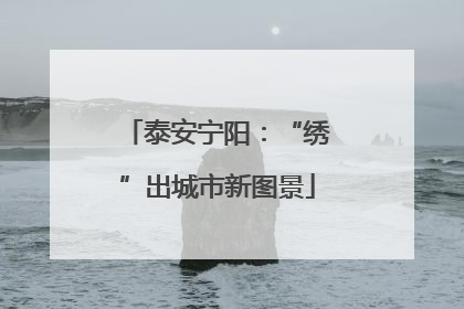 泰安宁阳：“绣”出城市新图景