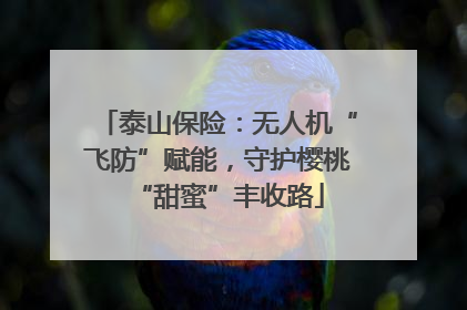 泰山保险：无人机“飞防”赋能，守护樱桃“甜蜜”丰收路
