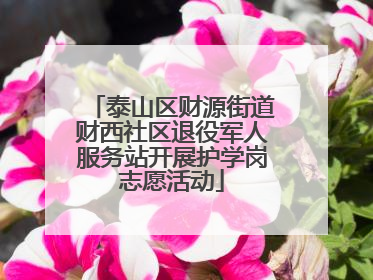 泰山区财源街道财西社区退役军人服务站开展护学岗志愿活动