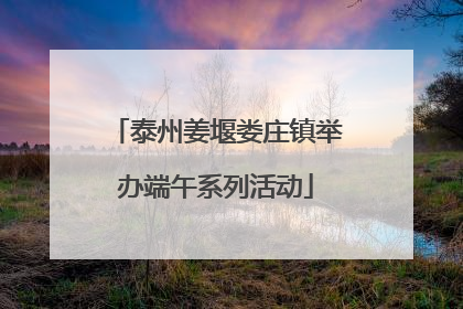 泰州姜堰娄庄镇举办端午系列活动