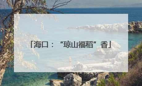 海口：“琼山福稻”香