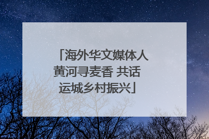 海外华文媒体人黄河寻麦香 共话运城乡村振兴