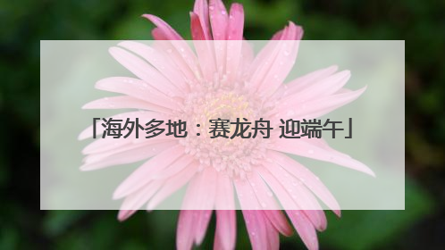 海外多地：赛龙舟 迎端午