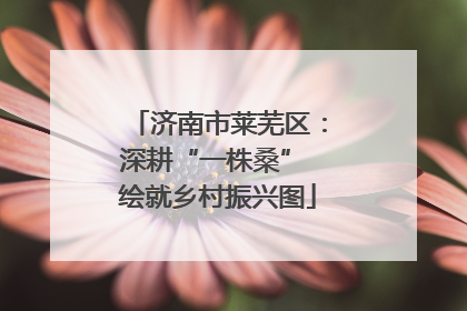 济南市莱芜区：深耕“一株桑” 绘就乡村振兴图