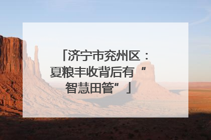 济宁市兖州区：夏粮丰收背后有“智慧田管”