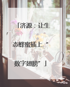 济源：让生态蜂蜜插上“数字翅膀”