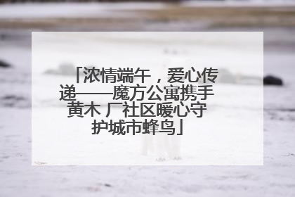 浓情端午，爱心传递——魔方公寓携手黄木 厂社区暖心守护城市蜂鸟