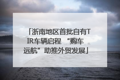 浙南地区首批自有TIR车辆启程 “购车远航”助推外贸发展