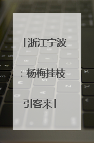 浙江宁波：杨梅挂枝引客来
