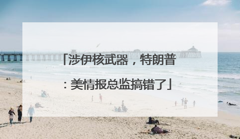 涉伊核武器，特朗普：美情报总监搞错了