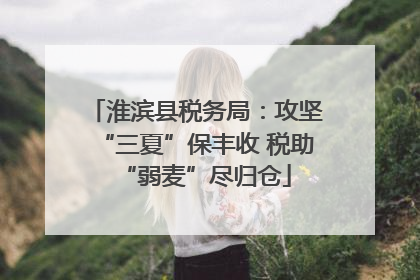淮滨县税务局：攻坚“三夏”保丰收 税助“弱麦”尽归仓
