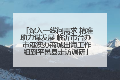 深入一线问需求 精准助力谋发展 临沂市台办 市港澳办商城出海工作组到平邑县走访调研