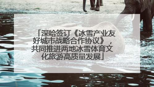 深哈签订《冰雪产业友好城市战略合作协议》，共同推进两地冰雪体育文化旅游高质量发展