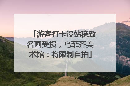 游客打卡没站稳致名画受损，乌菲齐美术馆：将限制自拍