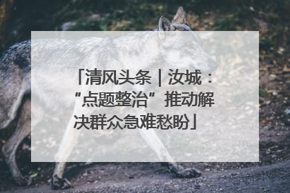 清风头条｜汝城：“点题整治”推动解决群众急难愁盼