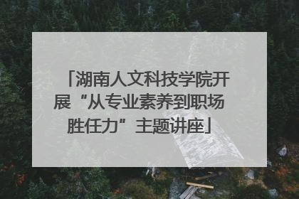 湖南人文科技学院开展“从专业素养到职场胜任力”主题讲座