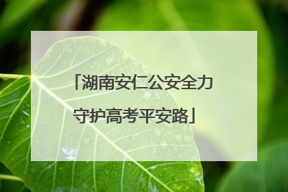 湖南安仁公安全力守护高考平安路
