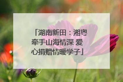湖南新田：湘粤牵手山海情深 爱心捐赠情暖学子