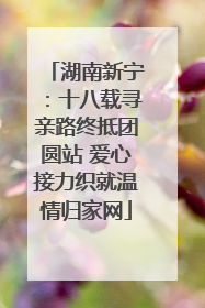 湖南新宁：十八载寻亲路终抵团圆站 爱心接力织就温情归家网