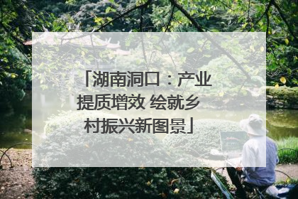 湖南洞口：产业提质增效 绘就乡村振兴新图景