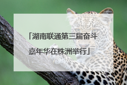 湖南联通第三届奋斗嘉年华在株洲举行