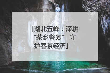 湖北五峰：深耕“茶乡警务” 守护春茶经济