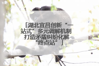 湖北宜昌创新“一站式”多元调解机制 打造矛盾纠纷化解“终点站”