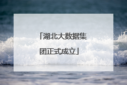 湖北大数据集团正式成立