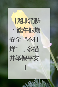 湖北消防：端午假期安全“不打烊”，多措并举保平安