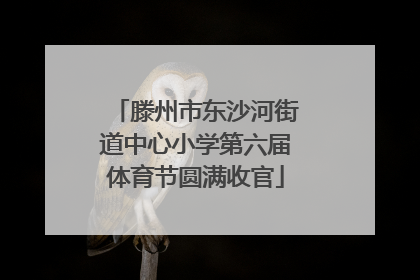 滕州市东沙河街道中心小学第六届体育节圆满收官