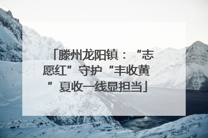 滕州龙阳镇：“志愿红”守护“丰收黄”夏收一线显担当