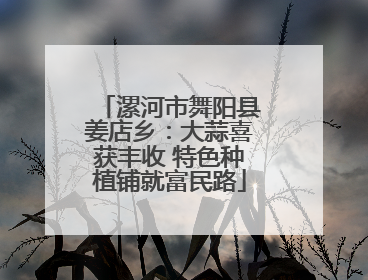 漯河市舞阳县姜店乡：大蒜喜获丰收 特色种植铺就富民路