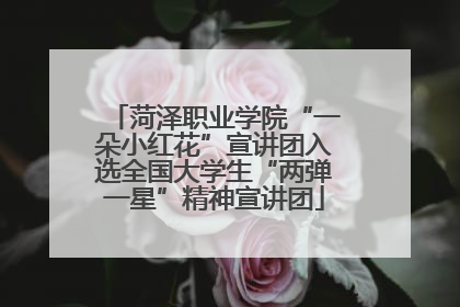 菏泽职业学院“一朵小红花”宣讲团入选全国大学生“两弹一星”精神宣讲团