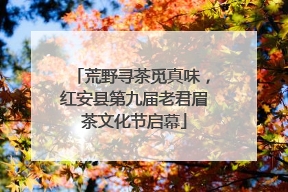 荒野寻茶觅真味，红安县第九届老君眉茶文化节启幕