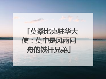 莫桑比克驻华大使：莫中是风雨同舟的铁杆兄弟
