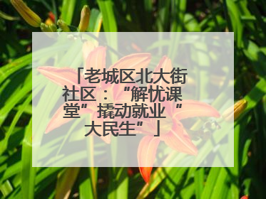 老城区北大街社区：“解忧课堂”撬动就业“大民生”