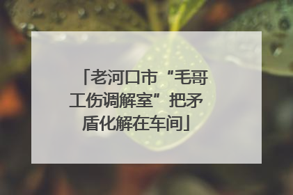 老河口市“毛哥工伤调解室”把矛盾化解在车间