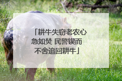 耕牛失窃老农心急如焚 民警锲而不舍追回耕牛