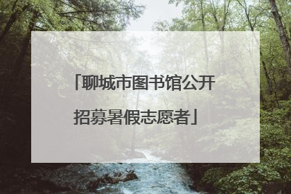 聊城市图书馆公开招募暑假志愿者