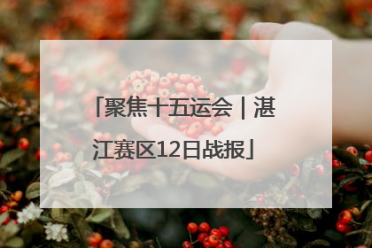 聚焦十五运会｜湛江赛区12日战报