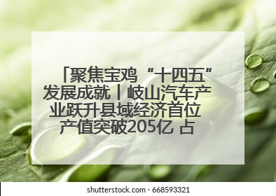 聚焦宝鸡“十四五”发展成就丨岐山汽车产业跃升县域经济首位 产值突破205亿 占规上工业75%