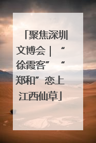 聚焦深圳文博会｜“徐霞客”“郑和”恋上江西仙草