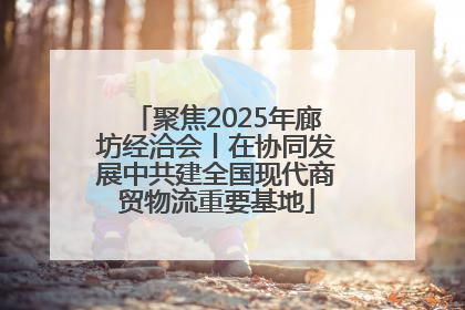 聚焦2025年廊坊经洽会丨在协同发展中共建全国现代商贸物流重要基地