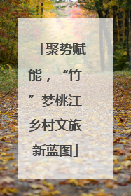 聚势赋能，“竹”梦桃江乡村文旅新蓝图