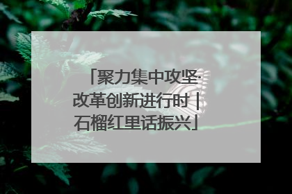 聚力集中攻坚·改革创新进行时｜石榴红里话振兴