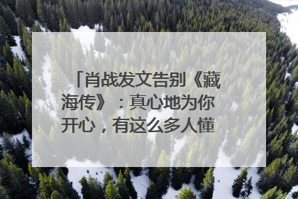 肖战发文告别《藏海传》：真心地为你开心，有这么多人懂你，导演回应“是否有第二季”